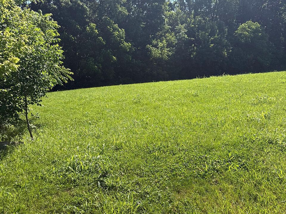 1st image of 28 Chelsey Park Dr