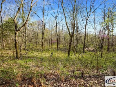 0 Melton Springs Rd, Big Rock, TN, 37023