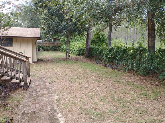 Back yard