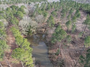 TRACT County Road 4037 #A, Timpson, TX 75975