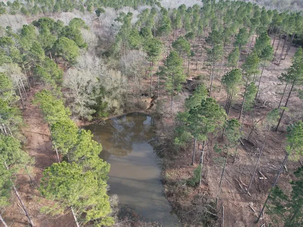 TRACT County Road 4037 #A, Timpson, TX 75975