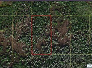 Holopaw Groves Rd, Saint Cloud, FL 34773