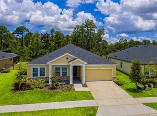 17633 Serenoa Blvd, Clermont, FL 34714
