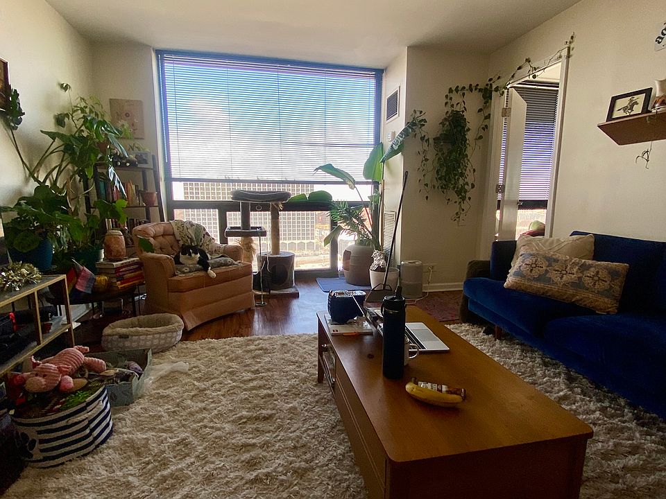 1st image of 4343 N Clarendon Ave APT 1709