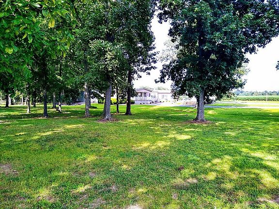 View from property line