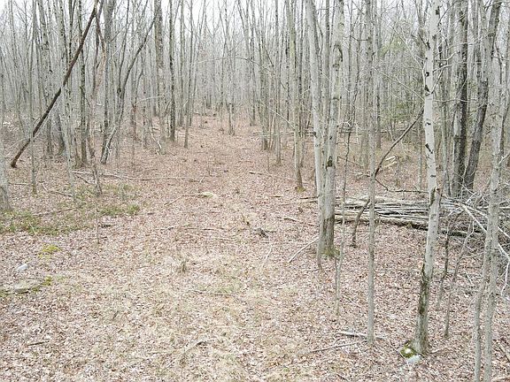 2nd image of Bradford Johnson Rd