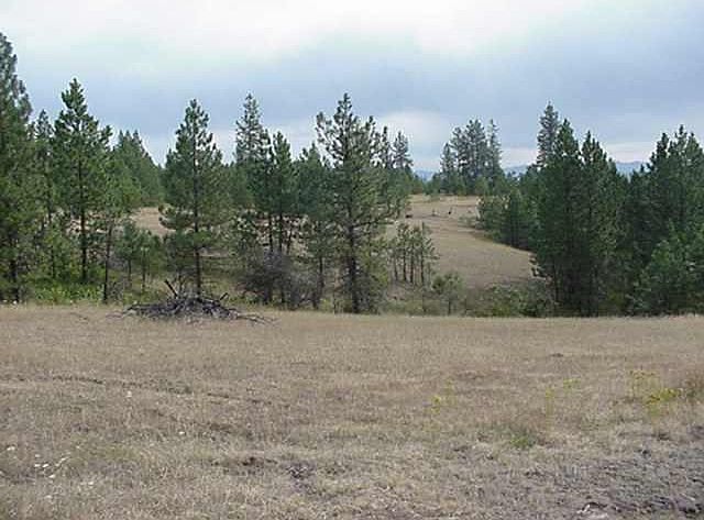 2nd image of Hayleys Way Lot 5