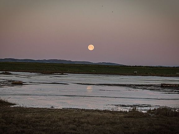 Morning full moons 