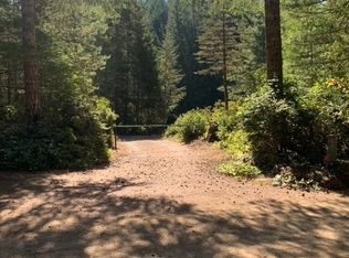 417 NE Dewatto Hills Rd, Tahuya, WA 98588