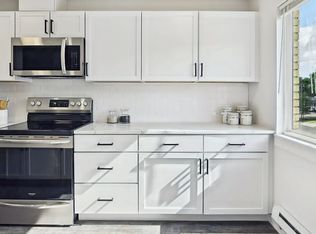 $1,450 / 2br - 560ft2 - Renovated 2bd, 1ba Condo (Red Wing), Red Wing, MN 55066