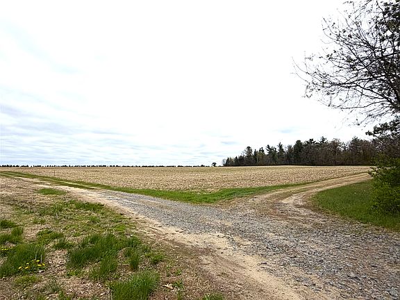 2nd image of 74 acres Sand Prairie Road