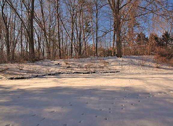 2nd image of 4 White Briar