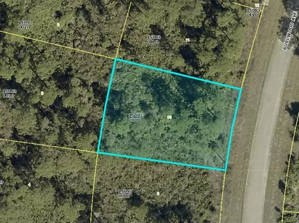 1254 Burlwood Ave Lot 10, Fort Myers, FL 33913