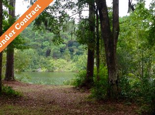 185 Spring Island Dr, Okatie, SC 29909