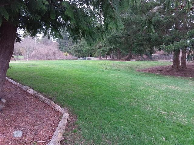 1st image of White Deer Ln