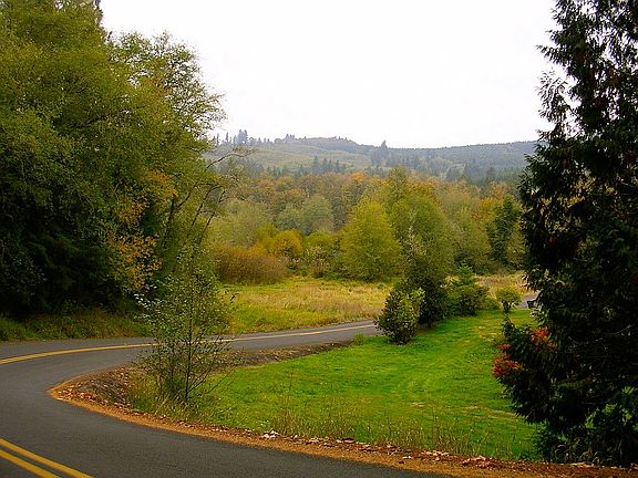 View in the Neighborhood