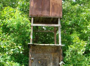 4554 Bado Rd, Cabool, MO 65689