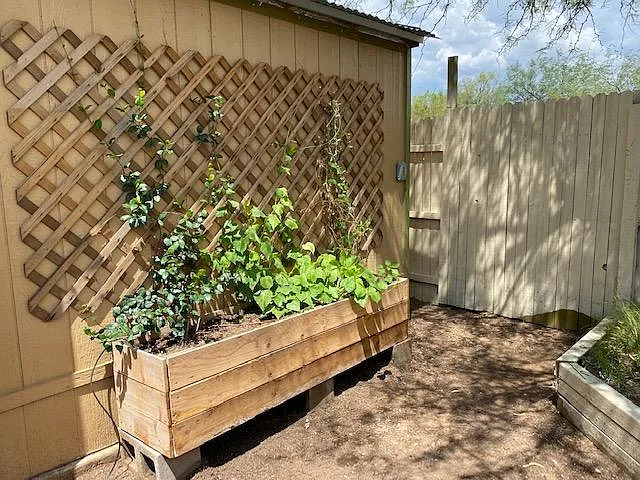 E Blacklidge Dr — Photo 37