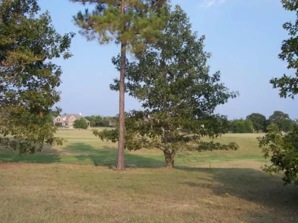 203 Sunnyvale E #17, Montgomery, TX 77356