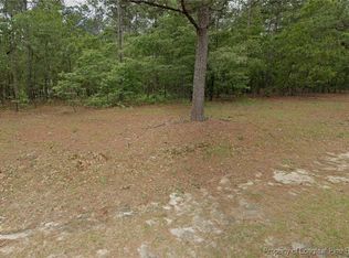 29 Peach Orchard Rd, Wagram, NC 28396