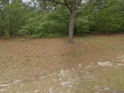 29 Peach Orchard Rd, Wagram, NC, 28396