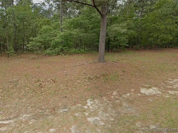 29 Peach Orchard Rd, Wagram, NC 28396