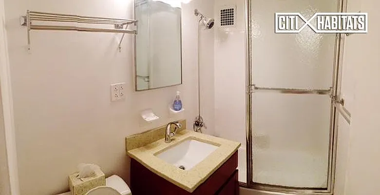 Rented by Citi Habitats | media 29