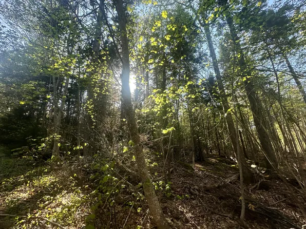 0 Sagamore Farm Road, Camden, ME 04843