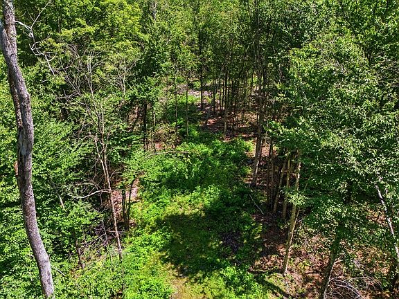 4th image of LOT 0 Thayer Hill Rd