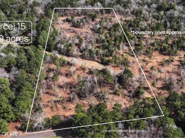 15 County Road 475 S #A, Henderson, TX 75654