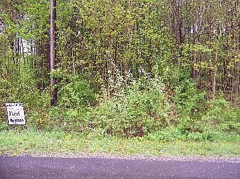 1st image of 185 Hatchet Dr