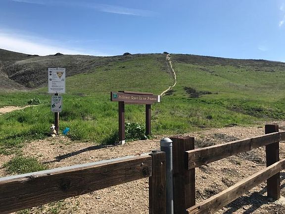 Hillcrest trails