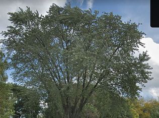 338 N Aldine Ave, Elgin, IL 60123