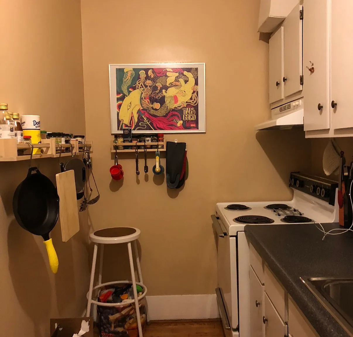 1 bed, 700 sqft, $1,130 — Photo 4