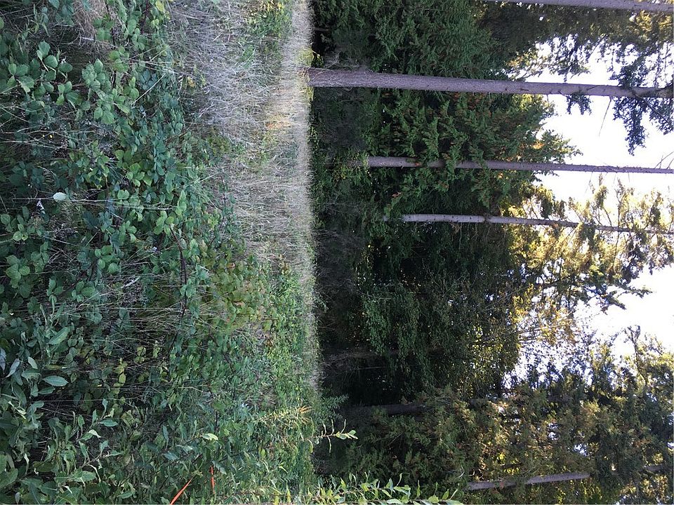 2nd image of 1713 Shorewood Dr