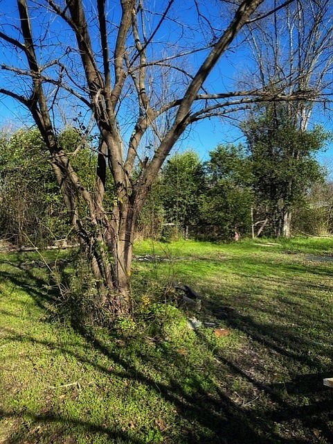 2nd image of 1718 Old Savannah Rd