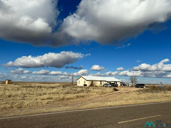 1630 State Highway 88 Rd, Portales, NM 88130