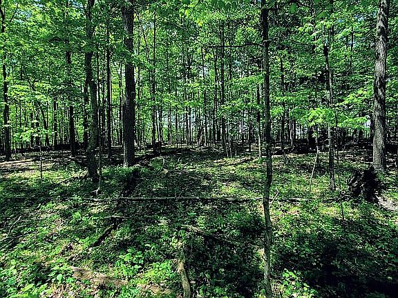 2nd image of County Road 15 #2