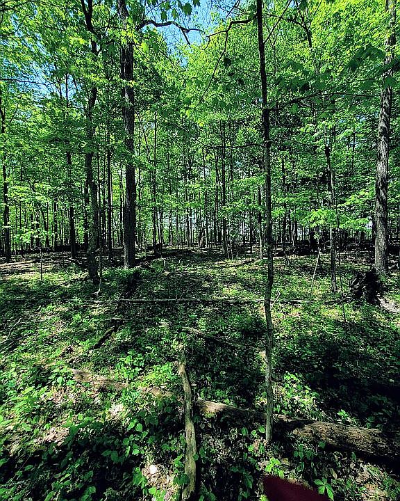 2nd image of County Road 15 Bennett Wood #11