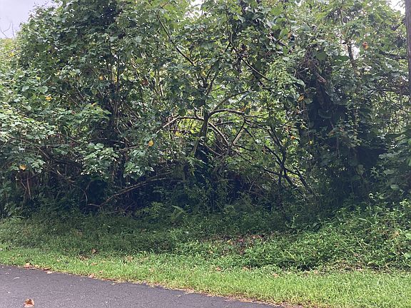 3rd image of Ohiki St