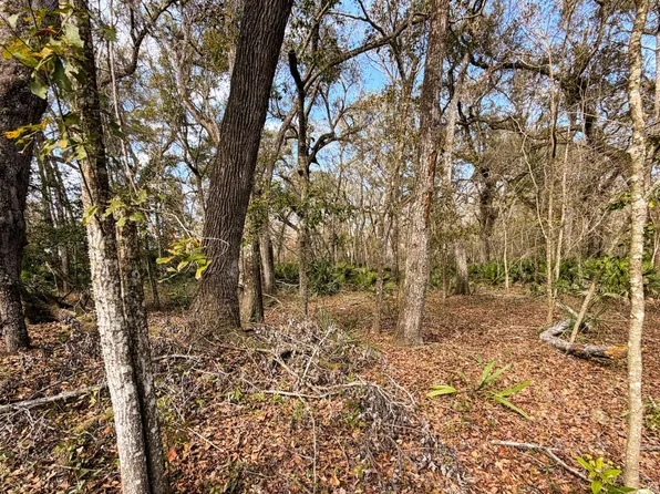 292nd St Lot 16, Branford, FL 32008