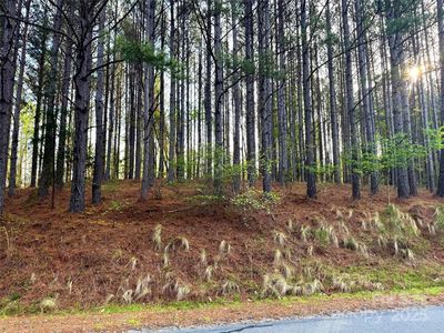 0 Clearwater Pkwy, Rutherfordton, NC, 28139