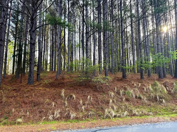 0 Clearwater Pkwy, Rutherfordton, NC 28139