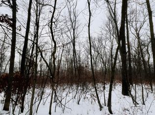 Wilke Rd PARCEL C, Fremont, MI 49412