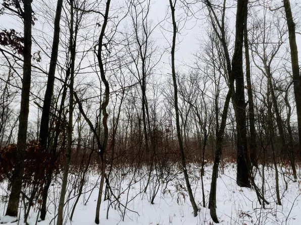 Wilke Rd Parcel C, Fremont, MI 49412