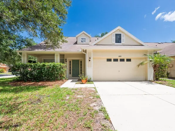 10825 Newbridge Dr, Riverview, FL 33579
