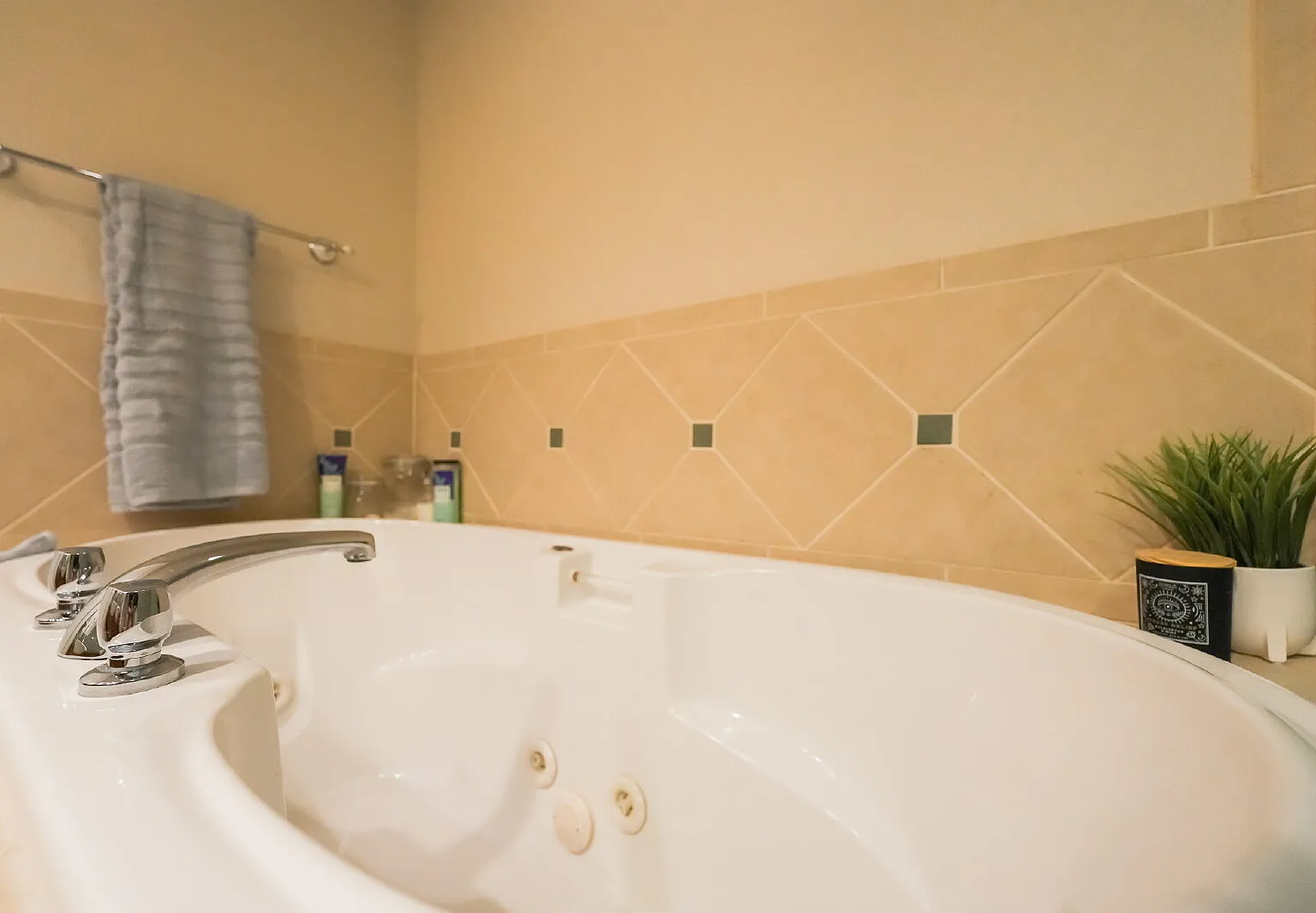 1 bed, $900 — Photo 4