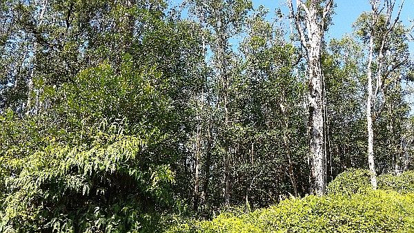 1st image of Kuhio Dr Lot 86