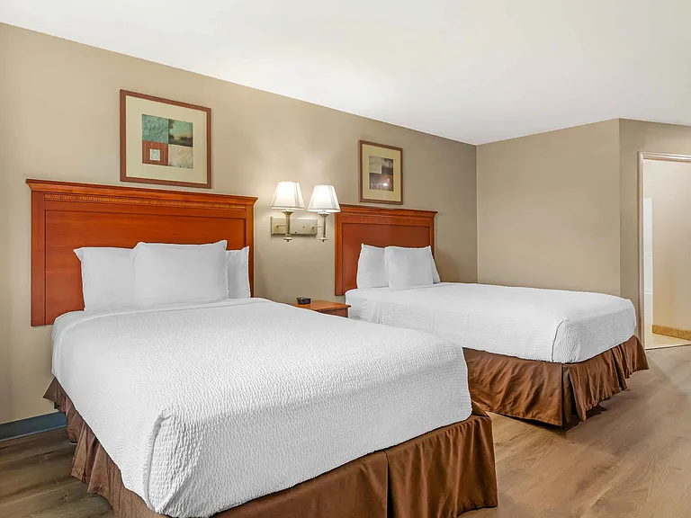 Studio Suite - 2 Full Beds