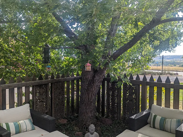 Enjoy a peaceful morning in your private southeast-facing patio.